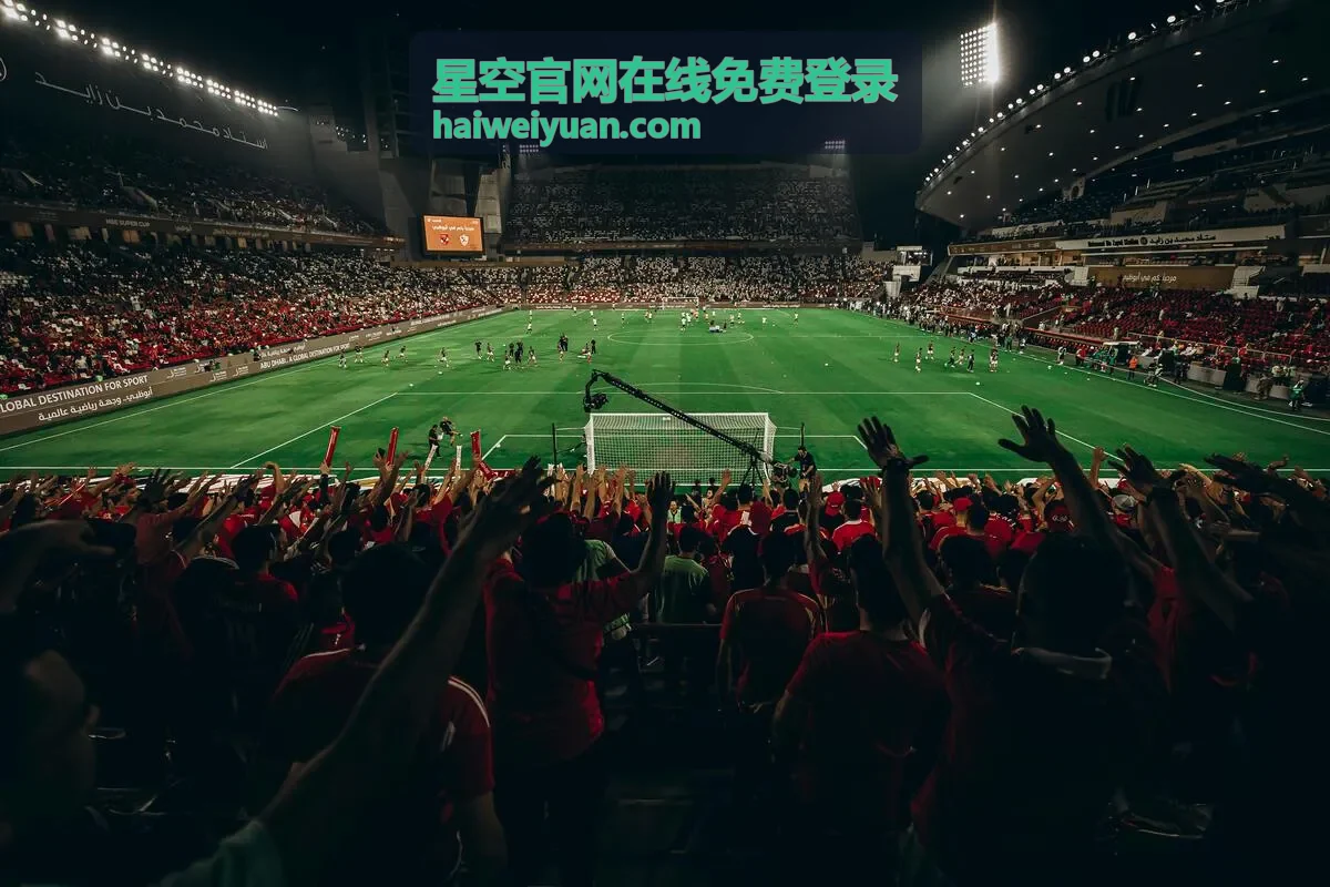 星空官网在线免费登录操作界面示意