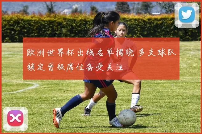 欧洲世界杯出线名单揭晓 多支球队锁定晋级席位备受关注